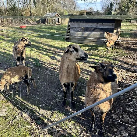 Διαμέρισμα Am Tillysee In *